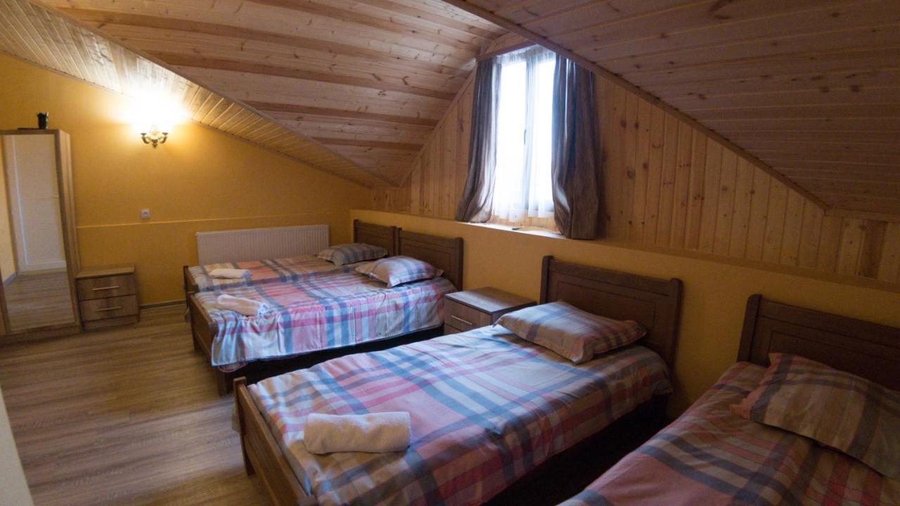Hotel Eco House In Бакуриани Экстерьер фото