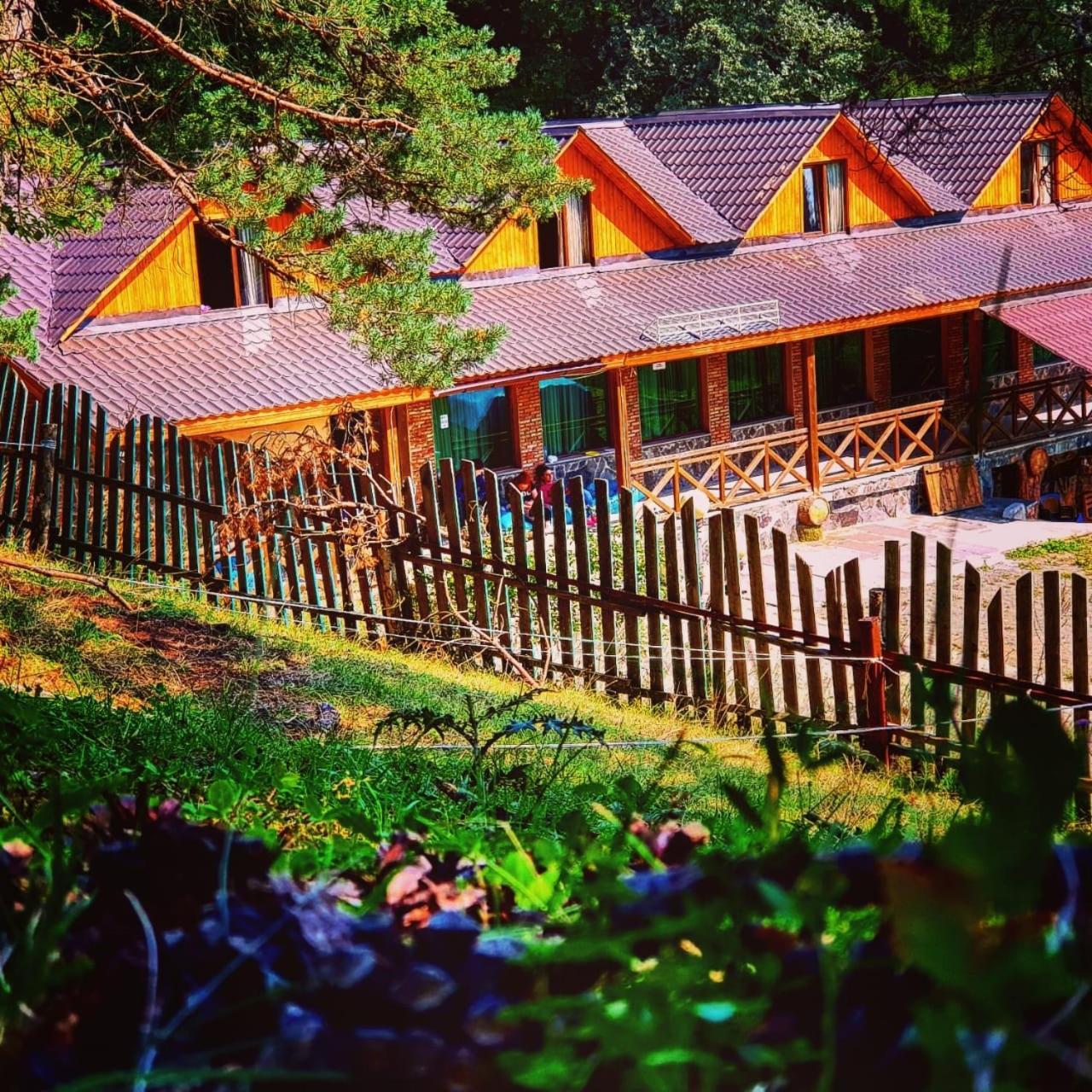 Hotel Eco House In Бакуриани Экстерьер фото