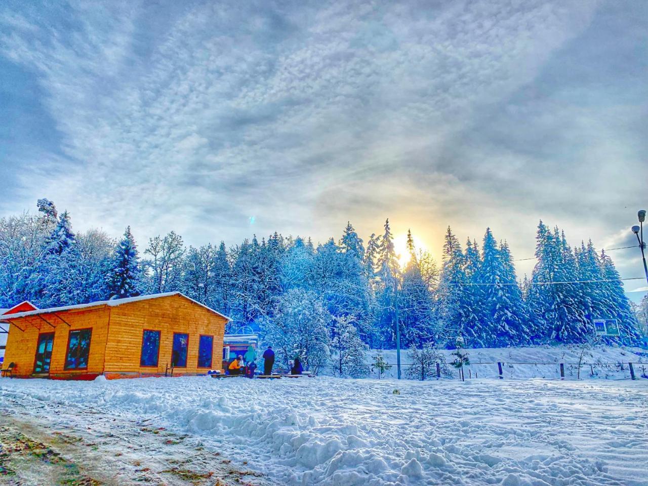Hotel Eco House In Бакуриани Экстерьер фото