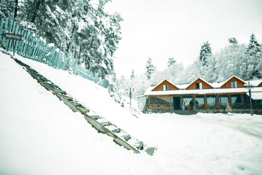 Hotel Eco House In Бакуриани Экстерьер фото