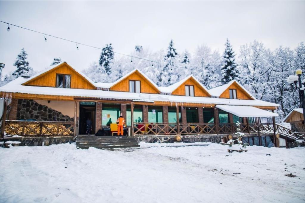 Hotel Eco House In Бакуриани Экстерьер фото