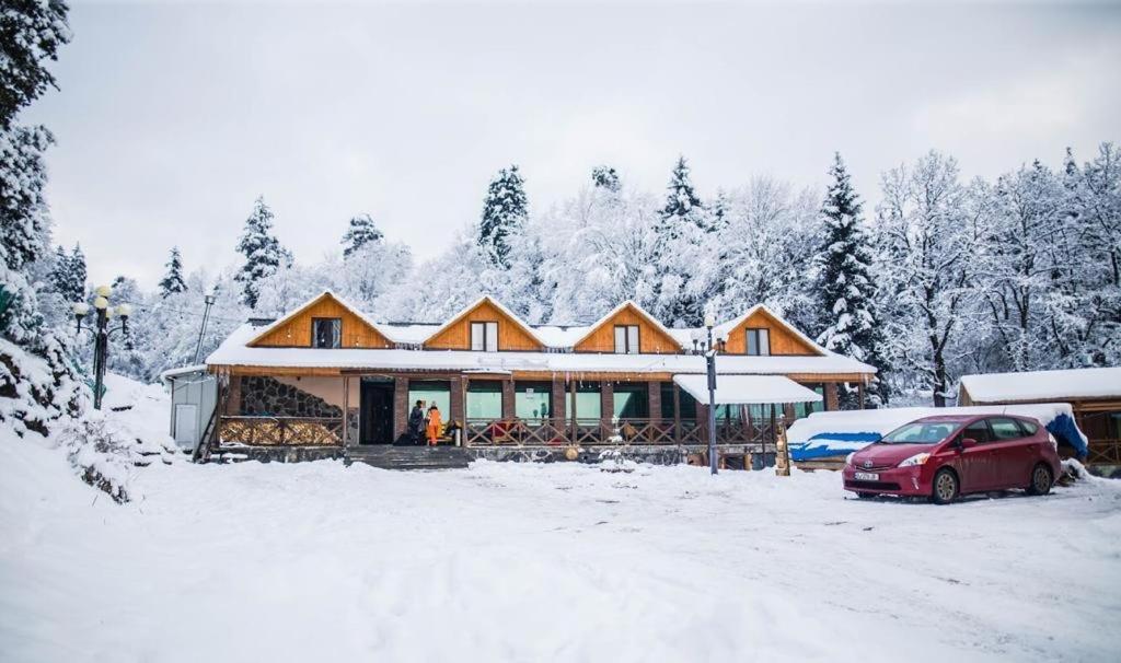 Hotel Eco House In Бакуриани Экстерьер фото